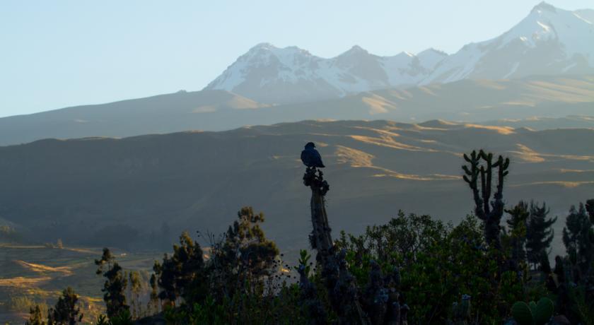 Eco Inn Colca Yanque Exterior foto